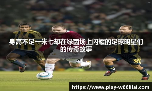 身高不足一米七却在绿茵场上闪耀的足球明星们的传奇故事
