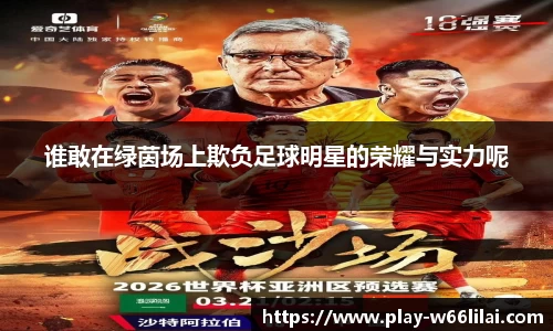 谁敢在绿茵场上欺负足球明星的荣耀与实力呢
